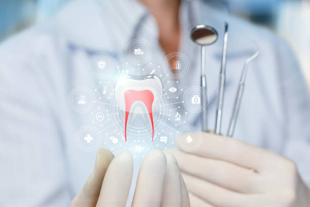 Why Choose Us for Your Dental Needs in Englewood, FL